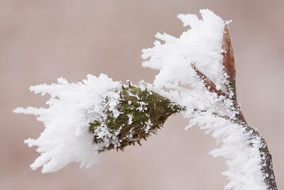 BUITEN BEELD Foto: 178986