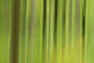 BUITEN BEELD Foto: 178989