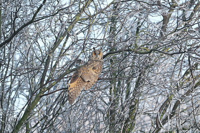 BUITEN BEELD Foto: 17003