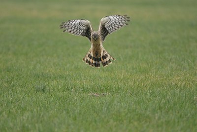 BUITEN BEELD Foto: 17013