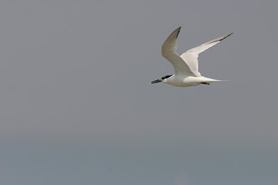 BUITEN BEELD Foto: 17033