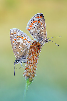 BUITEN BEELD Foto: 17062