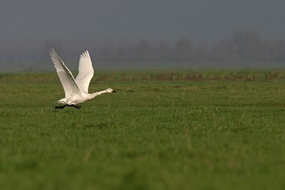 BUITEN BEELD Foto: 17081