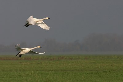 BUITEN BEELD Foto: 17086