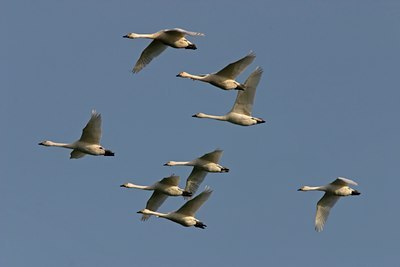 BUITEN BEELD Foto: 17091