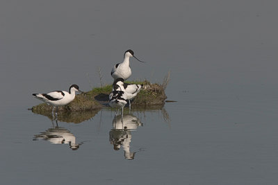 BUITEN BEELD Foto: 17097