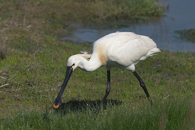 BUITEN BEELD Foto: 17134