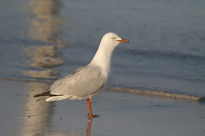 BUITEN BEELD Foto: 17235