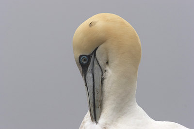 BUITEN BEELD Foto: 17257