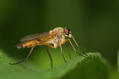 BUITEN BEELD Foto: 17278