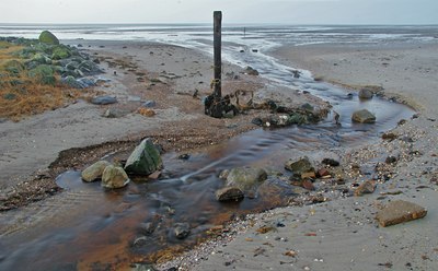 BUITEN BEELD Foto: 17303
