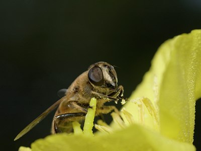 BUITEN BEELD Foto: 17304