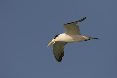 BUITEN BEELD Foto: 17328
