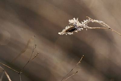 BUITEN BEELD Foto: 17384