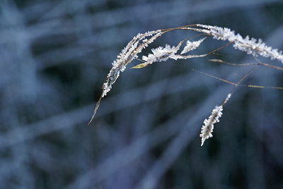 BUITEN BEELD Foto: 17388