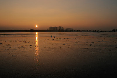 BUITEN BEELD Foto: 17391