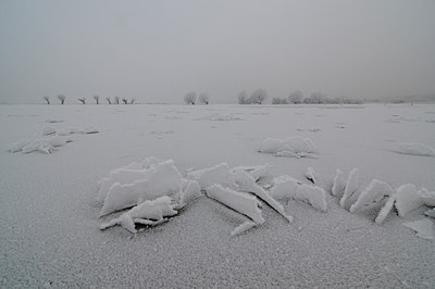 BUITEN BEELD Foto: 17393