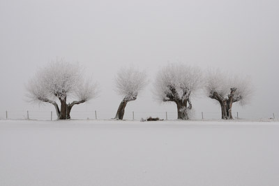 BUITEN BEELD Foto: 17394