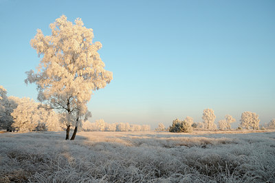 BUITEN BEELD Foto: 17396