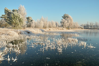 BUITEN BEELD Foto: 17399