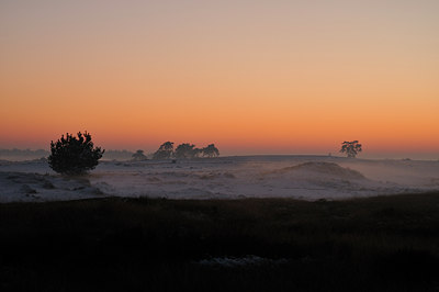 BUITEN BEELD Foto: 17409