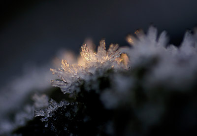 BUITEN BEELD Foto: 17441