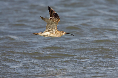 BUITEN BEELD Foto: 17456