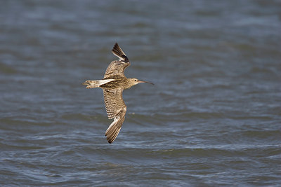 BUITEN BEELD Foto: 17460