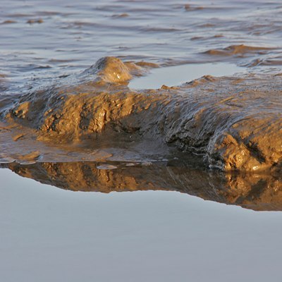 BUITEN BEELD Foto: 17469