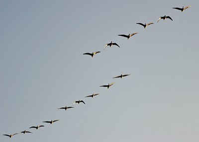 BUITEN BEELD Foto: 17479
