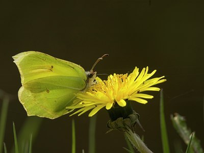 BUITEN BEELD Foto: 17498