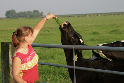 BUITEN BEELD Foto: 17522