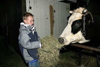 BUITEN BEELD Foto: 17525