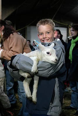 BUITEN BEELD Foto: 17527