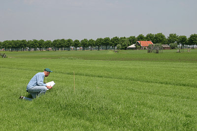 BUITEN BEELD Foto: 17597