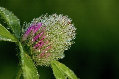 BUITEN BEELD Foto: 17600