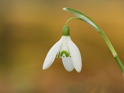 BUITEN BEELD Foto: 17602