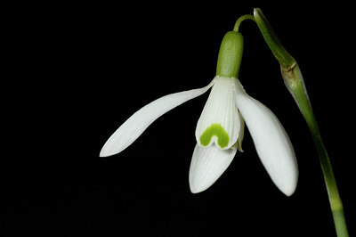 BUITEN BEELD Foto: 17604