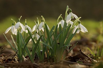 BUITEN BEELD Foto: 17605