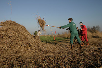 BUITEN BEELD Foto: 17620