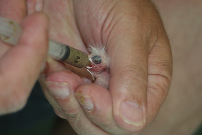 BUITEN BEELD Foto: 17624