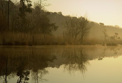 BUITEN BEELD Foto: 17646