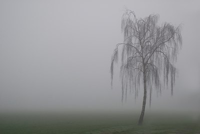 BUITEN BEELD Foto: 17664