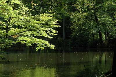 BUITEN BEELD Foto: 17683