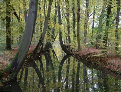 BUITEN BEELD Foto: 17684