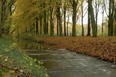 BUITEN BEELD Foto: 17685