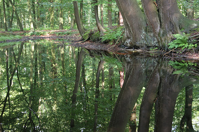 BUITEN BEELD Foto: 17691