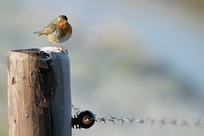 BUITEN BEELD Foto: 17722