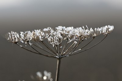 BUITEN BEELD Foto: 17723