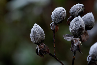 BUITEN BEELD Foto: 17734